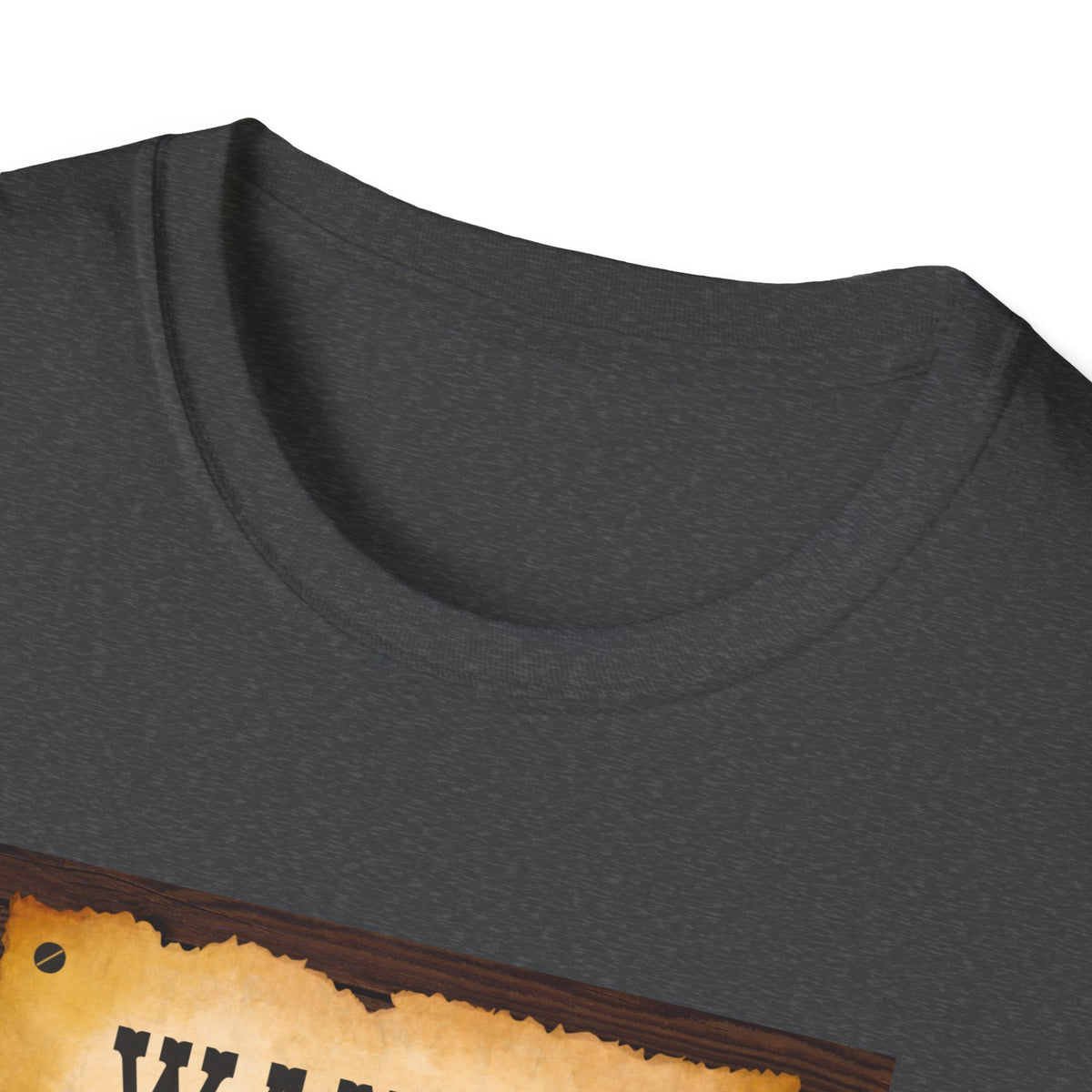 Wanted Poster Cat T-Shirt — "The Ginger Bandit" Retro Western Cat Tee