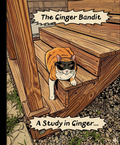 The Ginger Bandit Notebook | Cute Funny Cat Notebook for Cat Lovers | College Ruled, 200 Pages, 7.5" x 9.25"