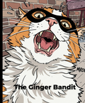 The Ginger Bandit: Composition Notebook